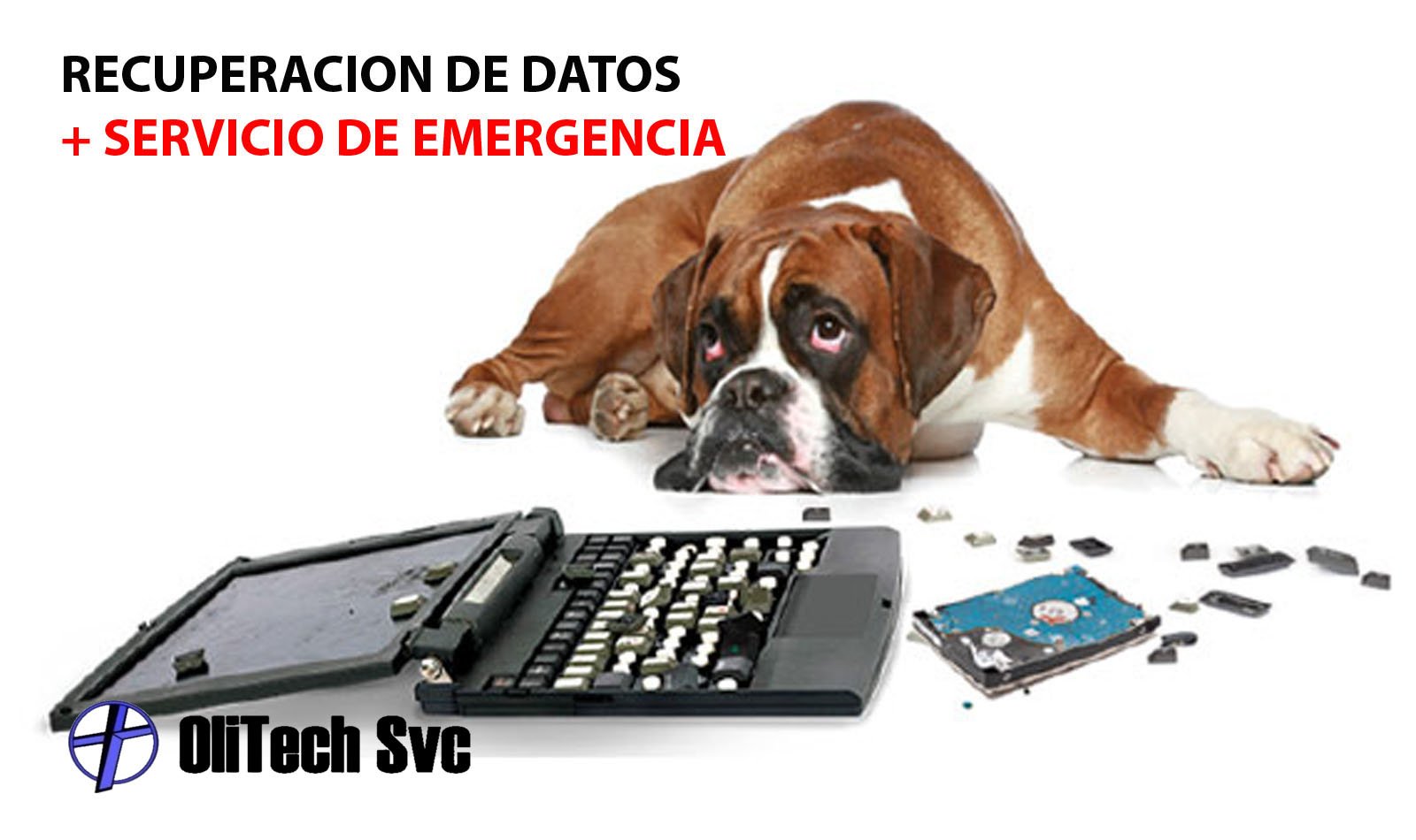 OliTech